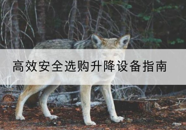 洛江升降货梯厂家推荐-*安全选购升降设备指南