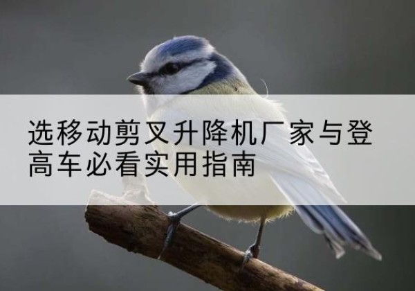 洛江电动升降机厂家-选移动剪叉升降机厂家与登高车必看实用指南