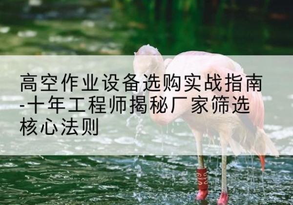 洛江剪叉式升降机厂家-高空作业设备选购实战指南-十年工程师揭秘厂家筛选核心法则