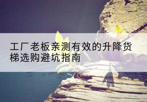 洛江升降货梯怎么选-工厂老板亲测有效的升降货梯选购避坑指南